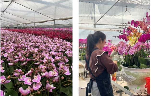 无标题.png 无标题.png